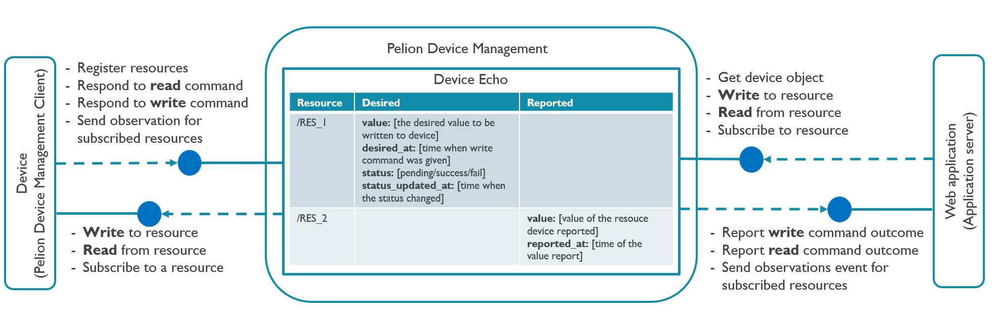 Device Echo overview